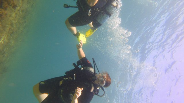 01.10.2026