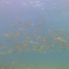 01.10.2026
