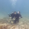 02.05.2026