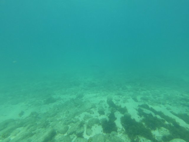 02.08.2026