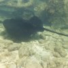03.08.2026
