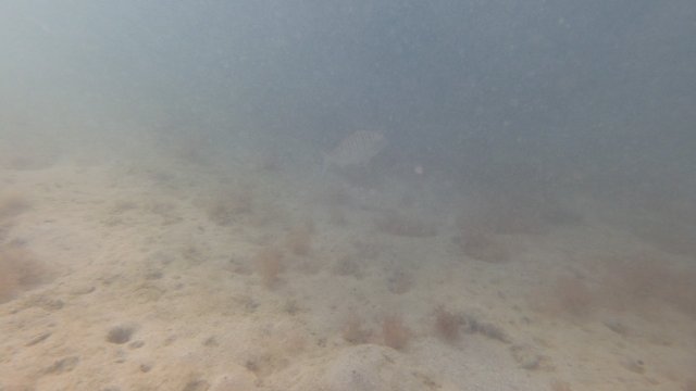 05.08.2026