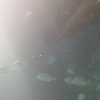 05.08.2026
