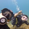 08.09.2026