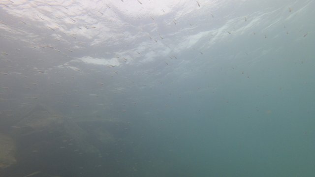 10.04.2026