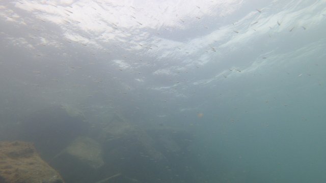 10.04.2026