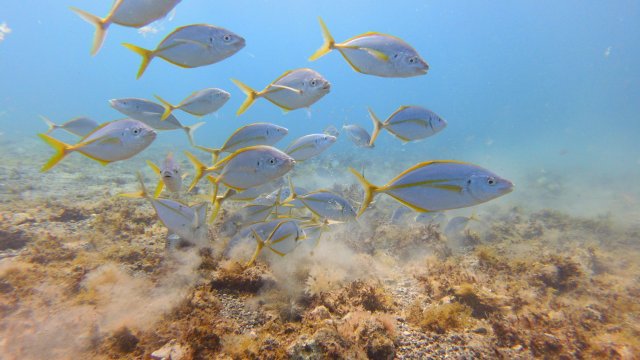 11.08.2026