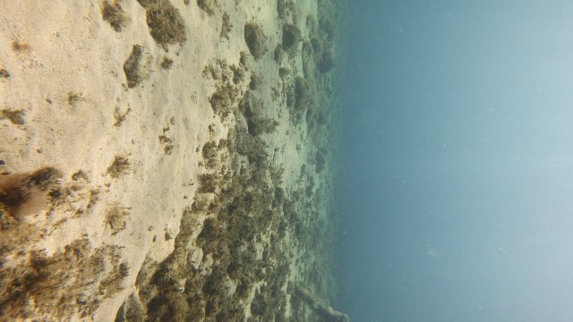 13.07.2026