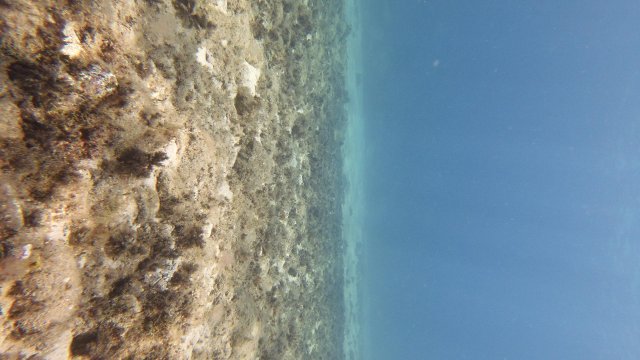 13.07.2026