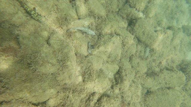 13.08.2026
