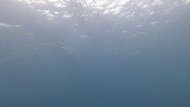 14.06.2026