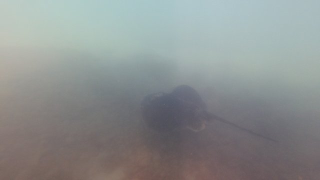 15.08.2026