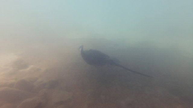 15.08.2026