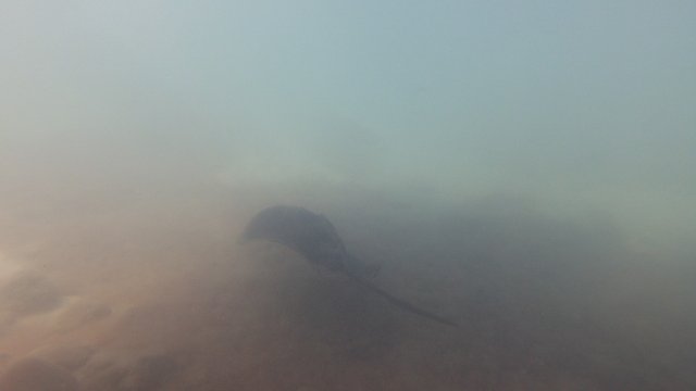 15.08.2026