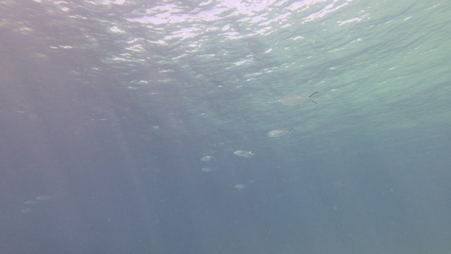 16.06.2026