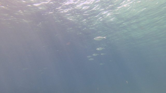 16.06.2026