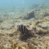16.08.2026