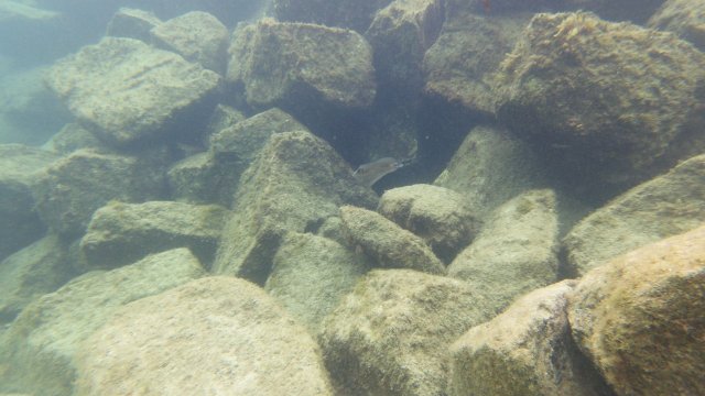18.06.2026