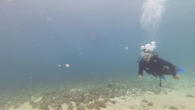 18.06.2026