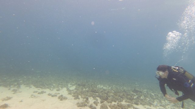 18.06.2026