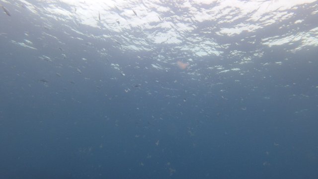18.09.2025