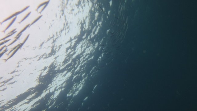 18.09.2025