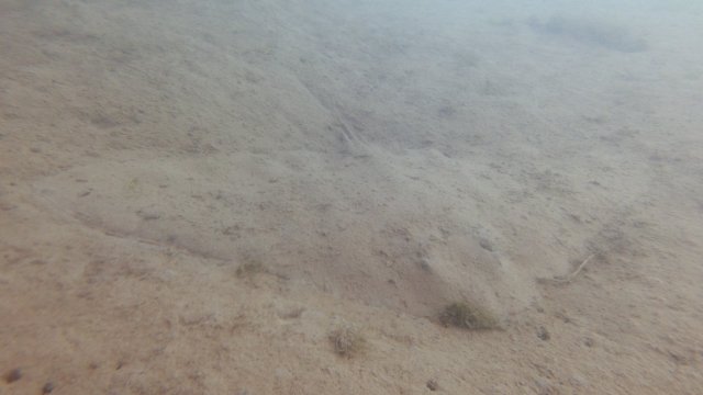 21.07.2026