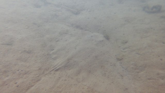 21.07.2026