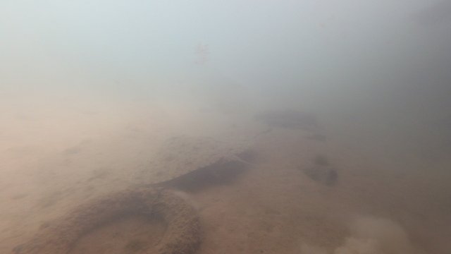 21.07.2026