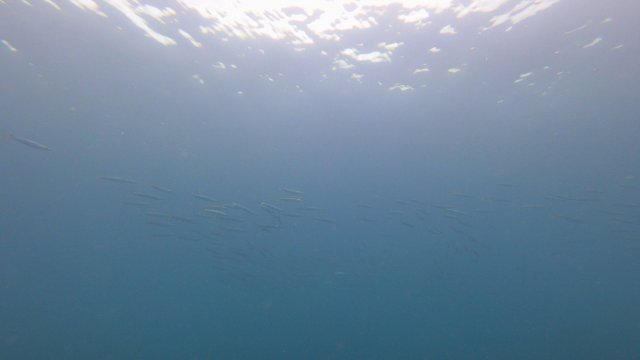 28.04.2026