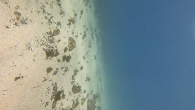28.06.2026
