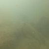 31.03.2026