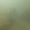 31.03.2026